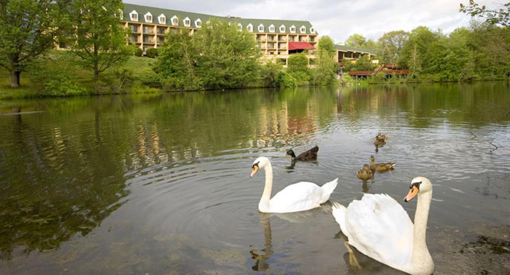 Chateau Resort & Conference Center Tannersville Dış mekan fotoğraf